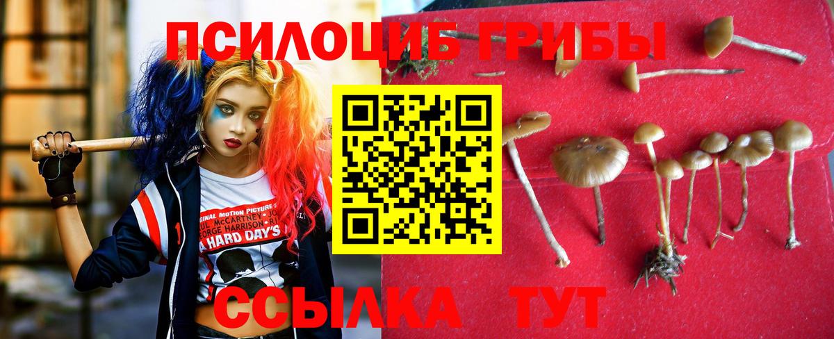Самара  Псилоцибиновые грибы ЛСД  Псилоцибиновые грибы мухоморы  Вход с VPN 